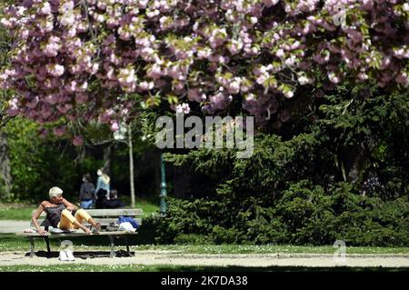 ©PHOTOPQR/L'EST REPUBLICAIN/ALEXANDRE MARCHI ; NANCY ; 25/04/2021 ; METEOROLOGIE - METEO - PRINTEMPS - BEAU TEMPS - CHALEUR - CRISE SANITAIRE. Parc Sainte-Marie, Nancy 25 April 2021. Une personne profite du beau temps et de la chaleur sur un bnac près des arbres en fleurs. FOTO Alexandre MARCHI. - 2021/04/25. Frühlingswetter in dieser Woche Stockfoto