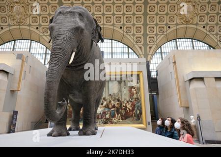 ©PHOTOPQR/LE PARISIEN/Delphine Goldsztejn ; Paris ; 19/05/2021 ; Les musées et Monuments ouverts à Paris et en Province le 19 Mai CE mercredi 19 Mai 2021, les musées et Monuments de France, tout comme les salles de cinéma et de Théâtre, vont pouvoir rouvrir leurs portes, avec un couvre-feu décalé à 21 heures. CES établissements culturels devront toutefois respecter une jauge réduite, de 8 m² par visiteur. La plupart des visites se feront uniquement sur réservation. Réouverture du Musée d'Orsay Musée d'Orsay 1 Rue de la Légion d'Honneur, 75007 Paris Le 19/05/2021 Foto : Delphine Goldsztejn - Stockfoto