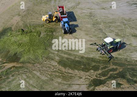 ©PHOTOPQR/OUEST FRANKREICH/QUEMENER YVES-MARIE ; Douarnenez ; 21/06/2021 ; Ramassage d'algues vertes sur la Plage du ris à Douarnenez ( Finistère ) Foto YVES-MARIE QUEMENER - Sammlung von grünen Algen auf dem Strand des Riffs in Douarnenez Stockfoto