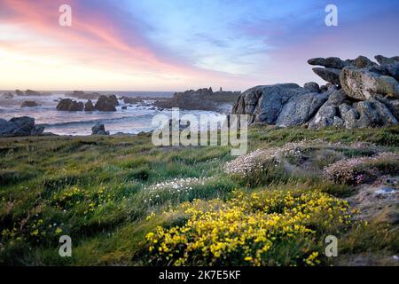 ©PHOTOPQR/OUEST FRANKREICH/Marc Ollivier ; Ouessant ; 18/06/2021 ; La Côte sud de Ouessant : la baie de Pen ar Roc’h et ses falaises perchées à plus de 40m au-dessus de la mer , les plus hautes et les plus sauvages du Léon . L'île d'Ouessant est une île aux allures sauvages. L'île se trouve à vingt kilomètres de la Côte ouest du Finistère en Bretagne. - Ouessant Island, eine felsige Insel im Département Finistère, an der westlichen Spitze der Bretagne, Westfrankreich. Stockfoto