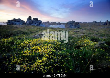 ©PHOTOPQR/OUEST FRANKREICH/Marc Ollivier ; Ouessant ; 18/06/2021 ; La Côte sud de Ouessant : la baie de Pen ar Roc’h et ses falaises perchées à plus de 40m au-dessus de la mer , les plus hautes et les plus sauvages du Léon . L'île d'Ouessant est une île aux allures sauvages. L'île se trouve à vingt kilomètres de la Côte ouest du Finistère en Bretagne. - Ouessant Island, eine felsige Insel im Département Finistère, an der westlichen Spitze der Bretagne, Westfrankreich. Stockfoto