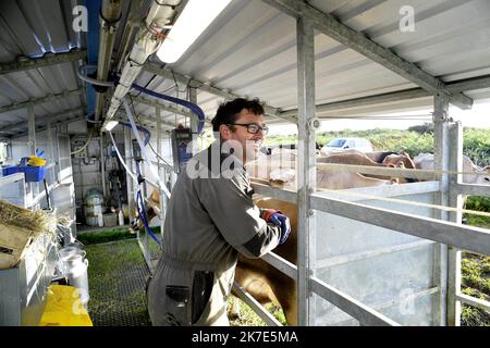 ©PHOTOPQR/OUEST FRANKREICH/Marc Ollivier ; Ouessant ; 18/06/2021 ; Thomas Richaud lors de la traite des vaches au Petit matin dans un champ . Ouessant : le retour des vaches sur l'île. Thomas et Marie des Agriculteurs originaires de la Drôme ont décidé de s'Installer sur l’île d’Ouessant. Depuis plus de 10 ans, aucun Agriculteur ne s’était installé sur l’île d’Ouessant. Reportage depuis la traite des vaches en plein champs à 7h du matin avec Thomas jusqu'à la Transformation du lait dans la petite fromagerie de Marie où sont fabriqués du beurre, des yaourts et des fromages pour le plus Grand plaisi Stockfoto