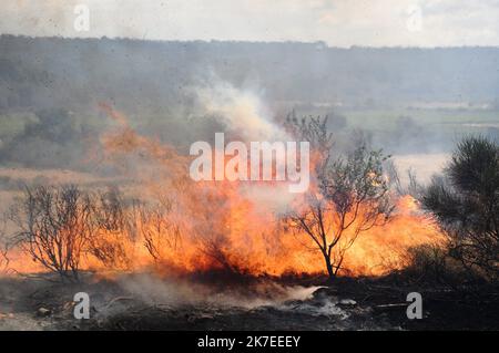 ©PHOTOPQR/L'INDEPENDANT/BOYER Claude ; 24/07/2021 / BRANDSTIFTUNG / feu DE FORET VERS FONTCOUVERTE / - bei Fontcouverte, Südwestfrankreich, juli 24. 2021. Riesige Waldbrände zerstören etwa 500 Hektar Stockfoto