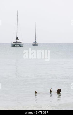 ©PHOTOPQR/LE PARISIEN/olivier corsan ; Sainte-Anne ; 01/08/2021 ; Sainte-Anne, Martinique, Frankreich, le 1er août 2021. Ben profite de la Plage des Salines normalement noire de monde un dimanche en plein été. Les touristes et les Martiniquais respectent ici le confinement qui vient d'être décrété pour trois semaines en Martinique, qui subit une quatrième vague de la pandémie du COVID-19 ou coronavirus. Le tourisme est à l'arrêt. GESUNDHEITSKRISE IN MARTINIQUE Stockfoto