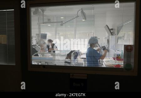 ©PHOTOPQR/LA PROVENCE/VALERIE VREL ; Marseille ; 06/08/2021 ; Reportage dans le Service de Réanimation des patients Covidés, à l'Hôpital de La Timone. Rencontre avec un Patient covidé de 34 ans, Wiliam Parpet, Gastronom sur le cours d'Estienne d'Orves, et d'une jeune femme de 27 ans, enceinte de 20 semaines, et qui a passé quelques jours en réanimation, tous deux ont présenté des formes grave et ont donc été placés en réanimation, Malgré leur jeune âge et l'absence de comorbidité. 100 % de la réanimation de l'Hôpital de La Timone est occupée par des personnes qui n'ont pas été vaccinées. - Stockfoto