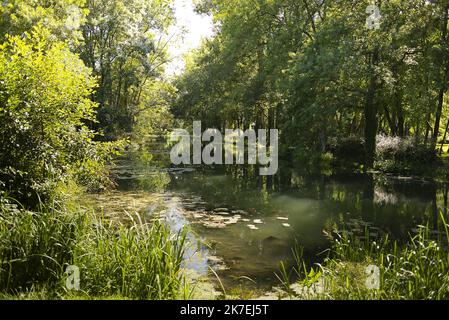 ©ERIC BALEDENT/MAXPPP - Château de Mehun-sur-Yèvre - 11/08/2021 Le château et le Parc de Mehun-sur-Yèvre - (c) 2021 Baledent/MaxPPP Stockfoto