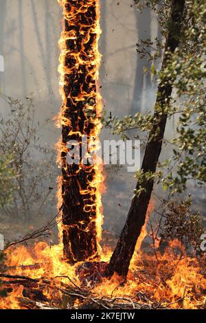 ©PHOTOPQR/NICE MATIN/LUC BOUTRIA LE 18 08 2021 VAR - Incentives à vidauban Waldbrände in Südfrankreich Frankreich - Var, Vidauban 18. August 2021 Stockfoto