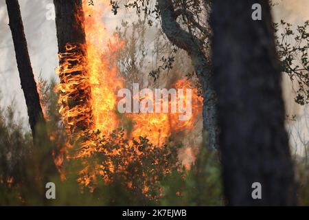 ©PHOTOPQR/NICE MATIN/LUC BOUTRIA LE 18 08 2021 VAR - Incentives à vidauban Waldbrände in Südfrankreich Frankreich - Var, Vidauban 18. August 2021 Stockfoto