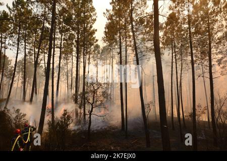 ©PHOTOPQR/NICE MATIN/LUC BOUTRIA LE 18 08 2021 VAR - Incentives à vidauban Waldbrände in Südfrankreich Frankreich - Var, Vidauban 18. August 2021 Stockfoto