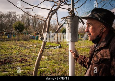 ©Olivier Donnars / Le Pictorium/MAXPPP - Olivier Donnars / Le Pictorium - 20/03/2021 - Frankreich / Ile-de-France / Aubervilliers - Hocine se sent totalement desempare de savoir que sa parcelle sera en grande Partie betonnee. Et surtout de voir detruire la cabane en bois qu'il a durement et cherement construit avec son fils. Aucune Compensation financiere ne lui a ete faite. On lui a juste assure que quelques uns des arbres qu'il a plantes seront replantes sur sa nouvelle parcelle dans les jardins de Pantin qui jouxtent les vertus. 'Seulement des promesses verbales !' Il s'inquiete de voir debarq Stockfoto