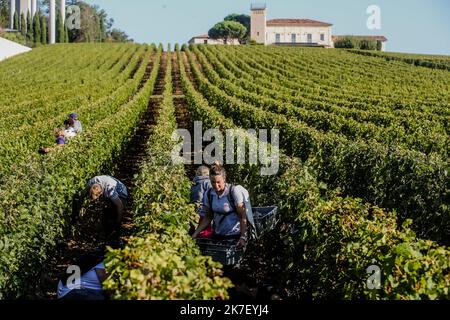 â©PHOTOPQR/Sud OUEST/guillaume bonnaud ; Bordeaux ; 23/09/2021 ; LE 23 SEPTEMBRE 2021 / A SAINT EMILION / VENDANGES DES ROUGES AU CHATEAU TROPLONG MONDOT A SAINT-EMILION / 1 er GRAND CRU CLASSE SAINT-EMILION / Ph Guillaume Bonnaud - Saint-Emilion Ernte Frankreich, Bordeaux Sept 23 2021 Stockfoto