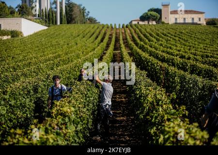 â©PHOTOPQR/Sud OUEST/guillaume bonnaud ; Bordeaux ; 23/09/2021 ; LE 23 SEPTEMBRE 2021 / A SAINT EMILION / VENDANGES DES ROUGES AU CHATEAU TROPLONG MONDOT A SAINT-EMILION / 1 er GRAND CRU CLASSE SAINT-EMILION / Ph Guillaume Bonnaud - Saint-Emilion Ernte Frankreich, Bordeaux Sept 23 2021 Stockfoto