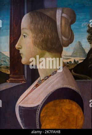 ©Active Museu/MAXPPP - ActiveMuseum 0003310.jpg / Portrait de jeune femme Tempera sur bois 1480 - / Domenico Ghirlandaio / Peinture Active Museum / Le Pictorium 1 Personen, Blond, Chignon (Brötchen), Säule, Haare gebunden zurück, Hügel, Low-Cut, Modell (), Berg, Halskette, Porträt, Profil, Schutz, Band, Straßenfenster Symbol, Baum, Vertikale Frau ,XV. Jahrhundert ,Domenico Ghirlandaio ,Malerei , Stockfoto