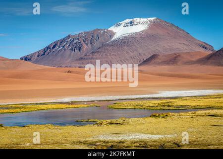 Salar de Atacama Vulkanlandschaft und Salzsee in der Atacama Wüste, Chile Stockfoto