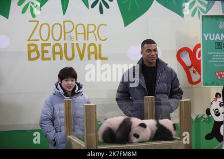 ©PHOTOPQR/LA NOUVELLE REPUBLIQUE/Jerome Dutac BEAUVAL 18/11/2021 CEREMONIE DE BAPTEME DES BEBES PANDAS NE CET ETE La championne olympique chinoise Zhang Jiaqi et Kylian Mbappé, la marraine et le parrain des deux bés Pandas du Zoo de Beauval . ZooParc de Beauval, Frankreich, november 18. 2021 Zwillingspanda-Junge von -Huan-Huan, dem weiblichen Panda, der von China an den Zoo von Beauval verliehen wurde, bei der Taufzeremonie. Die chinesische olympiasiegerin Zhang Jiaqi und die französische Fußballmeisterin Kylian Mbappé sind die Patenschaft und Pate der beiden Babypandas Stockfoto