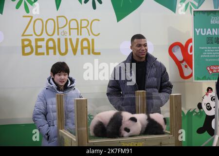 ©PHOTOPQR/LA NOUVELLE REPUBLIQUE/Jerome Dutac BEAUVAL 18/11/2021 CEREMONIE DE BAPTEME DES BEBES PANDAS NE CET ETE La championne olympique chinoise Zhang Jiaqi et Kylian Mbappé, la marraine et le parrain des deux bés Pandas du Zoo de Beauval . ZooParc de Beauval, Frankreich, november 18. 2021 Zwillingspanda-Junge von -Huan-Huan, dem weiblichen Panda, der von China an den Zoo von Beauval verliehen wurde, bei der Taufzeremonie. Die chinesische olympiasiegerin Zhang Jiaqi und die französische Fußballmeisterin Kylian Mbappé sind die Patenschaft und Pate der beiden Babypandas Stockfoto