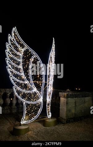 ©Maryne Djouri / Le Pictorium/MAXPPP - Maryne Djouri / Le Pictorium - 25/11/2021 - Frankreich / Ile-de-France / Ile-de-France - Les eclairages de Noel dans le domaine national de Saint-Cloud dans les Hauts de seine pour 'Lumiere en seine'. / 25/11/2021 - Frankreich / Ile-de-France (Region) / Ile-de-France (Region) - Weihnachtslichter im nationalen Gebiet von Saint-Cloud im Hauts de seine für 'Lumiere en seine'. Stockfoto
