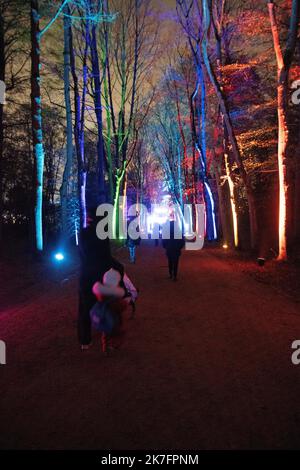 ©Maryne Djouri / Le Pictorium/MAXPPP - Maryne Djouri / Le Pictorium - 25/11/2021 - Frankreich / Ile-de-France / Ile-de-France - Les eclairages de Noel dans le domaine national de Saint-Cloud dans les Hauts de seine pour 'Lumiere en seine'. / 25/11/2021 - Frankreich / Ile-de-France (Region) / Ile-de-France (Region) - Weihnachtslichter im nationalen Gebiet von Saint-Cloud im Hauts de seine für 'Lumiere en seine'. Stockfoto