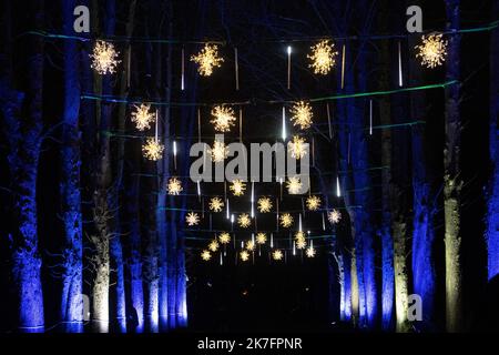 ©Maryne Djouri / Le Pictorium/MAXPPP - Maryne Djouri / Le Pictorium - 25/11/2021 - Frankreich / Ile-de-France / Ile-de-France - 'Les flocons geants'. Les eclairages de Noel dans le domaine national de Saint-Cloud dans les Hauts de seine pour 'Lumiere en seine'. / 25/11/2021 - Frankreich / Ile-de-France (Region) / Ile-de-France (Region) - „Riesenschneeflocken“. Weihnachtslichter im Nationalbereich von Saint-Cloud in der Hauts de seine für „Lumiere en seine“. Stockfoto