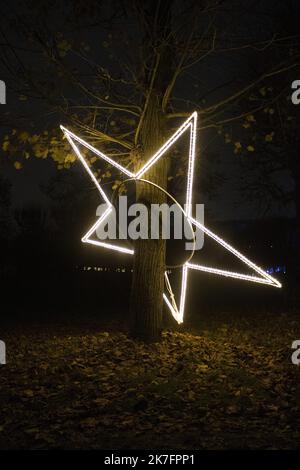 ©Maryne Djouri / Le Pictorium/MAXPPP - Maryne Djouri / Le Pictorium - 25/11/2021 - Frankreich / Ile-de-France / Ile-de-France - 'Les arbres etoiles'. Les eclairages de Noel dans le domaine national de Saint-Cloud dans les Hauts de seine pour 'Lumiere en seine'. / 25/11/2021 - Frankreich / Ile-de-France (Region) / Ile-de-France (Region) - 'Sternenbäume'. Weihnachtslichter im Nationalbereich von Saint-Cloud in der Hauts de seine für „Lumiere en seine“. Stockfoto