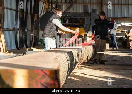 Rennes; 12/16/2021; an diesem Donnerstagmorgen begann an der "Mühle der Riesen" in Craon in Mayenne die Arbeit, Teile der Eichenstämme zu schneiden, die für die Renovierung der Kathedrale Notre Dame de Paris verwendet werden. Stockfoto