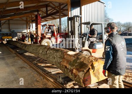 Rennes; 12/16/2021; an diesem Donnerstagmorgen begann an der "Mühle der Riesen" in Craon in Mayenne die Arbeit, Teile der Eichenstämme zu schneiden, die für die Renovierung der Kathedrale Notre Dame de Paris verwendet werden. Stockfoto