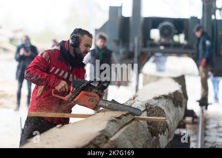 Rennes; 12/16/2021; an diesem Donnerstagmorgen begann an der "Mühle der Riesen" in Craon in Mayenne die Arbeit, Teile der Eichenstämme zu schneiden, die für die Renovierung der Kathedrale Notre Dame de Paris verwendet werden. Stockfoto