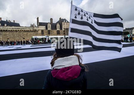 ©PHOTOPQR/PRESSE OCEAN/Olivier Lanrivain ; Nantes ; 20/02/2022 ; Bretagne réunis. A l'Initiative de l'Association A la breton, déploiement d'un drapeau breton GÉANT de 1400 m2, le plus Grand Gwen Ha Du du monde, Devant le château des Ducs de Bretagne à Nantes dimanche 20 février pour promouvoir le rassemblement de la Bretagne à 5 auprès des candidats à la présidentielle 2022. Photo Presse Ocean/Olivier Lanrivain der Verein 'à la Breton' hat vor dem Schloss von Anne de Bretagne in Nantes die größte bretonische Flagge der Welt entrollt. Sie will ein Referendum zum Thema A Stockfoto