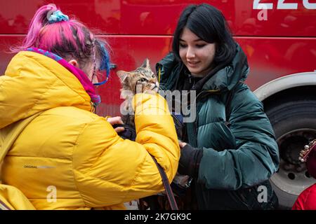 ©Simon Becker / Le Pictorium/MAXPPP - Korczowa 06/03/2022 Simon Becker / Le Pictorium - 6/3/2022 - Pologne / Jaroslaw / Korczowa - Deux adolescentes prennent leur Chat dans un sac apres etre descendues d'un Bus en Provenance d'Ukraine au Centre Commercial Korczowa Dolina, Qui sert de Point d'accueil Massiv pour les personnes fuyant la guerre en Ukraine. / 6/3/2022 - Polen / Jaroslaw / Korczowa - zwei Mädchen im Teenageralter nehmen ihre Katze aus einer Tasche, nachdem sie aus der Ukraine in der Korczowa Dolina Mall aussteigen, die als massiver Empfangsort für Menschen dient, die vor dem Krieg in der Ukraine fliehen. Stockfoto