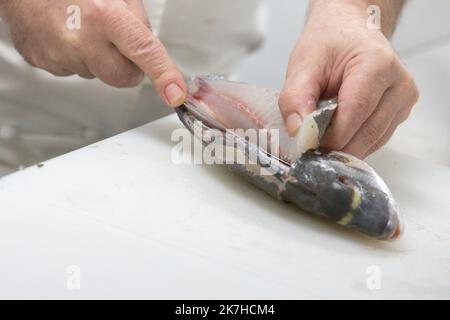 ©TARDIVON JC/MAXPPP - Dijon 04/05/2022 © JC Tardivon / Maxppp - Cote-d'Or, Dijon, 04/05/2022 - Cite internationale de la gastronomie et du Vin : Formation en cuisine de l'ecole Ferrandi 'ein außergewöhnlicher Ort, um die französische Lebenskunst zu feiern': Dijon eröffnet am Freitag die erste internationale Stadt der Gastronomie und des Weins mit der Mission, das französische Essen, das im Erbe der Menschheit aufgeführt ist, „zu erzählen und zum Leben zu erwecken“. Stockfoto