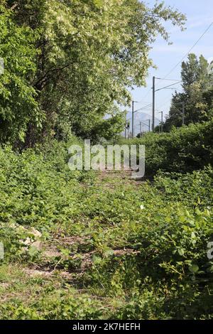 ©PHOTOPQR/LE DAUPHINE/Lisa MARCELJA ; Pontcharra ; 12/05/2022 ; Isère. Pontcharra. Ein ganz divers. Kühlgehäuse. Affaire Marie-Thérèse BONFANTI résolue après 36 ans. UN Petit chemin longeant la voie ferrée emprunté par le meurtrier et sa victime ou sa trace disparait. Malgré un non-lieu prononcé en 1987, l’obstination des proches de cette mère de famille de 25 ans avait abouti à la réouverture de l’enquête. Le détermination et le minutieux travail des enquêteurs ont finalement payé : 36 ans après les faits, celui qui était suspecté depuis le début a fini par avouer avoir tué Marie Therese Bonfant Stockfoto