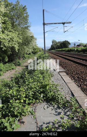 ©PHOTOPQR/LE DAUPHINE/Lisa MARCELJA ; Pontcharra ; 12/05/2022 ; Isère. Pontcharra. Ein ganz divers. Kühlgehäuse. Affaire Marie-Thérèse BONFANTI résolue après 36 ans. un Petit chemin emprunté par le meurtrier et sa victime ou sa trace disparait. Malgré un non-lieu prononcé en 1987, l’obstination des proches de cette mère de famille de 25 ans avait abouti à la réouverture de l’enquête. Le détermination et le minutieux travail des enquêteurs ont finalement payé : 36 ans après les faits, celui qui était suspecté depuis le début a fini par avouer avoir tué Marie Therese Bonfanti Isere, Frankreich, Mai 12t Stockfoto