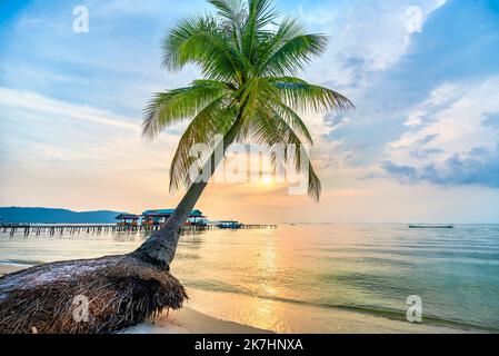 Tropischer Strand mit Palmen am wunderschönen Sandstrand auf der Insel Phu Quoc, Vietnam, Sonnenuntergang am Himmel. Dies ist einer der besten Strände von Vietnam. Stockfoto