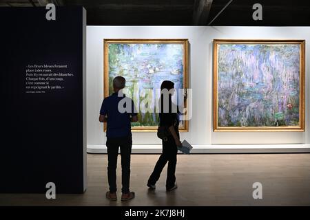 â©PHOTOPQR/LE COURRIER DE L'OUEST/Josselin Clair ; ; 08/06/2022 ; Fontevraud l'Abbaye, 8/06/2022, Präsentation der Ausstellung Metamorphosen dans l'Art de Claude Monet avec plus de trente peintures du peintre, dans le musee d'Art moderne de l'Abbaye de Fontevraud dans le Maine-et-Loire. - Monet-Ausstellung in Fontevraud l'Abbaye Frankreich, 8. Juni 2022 Stockfoto