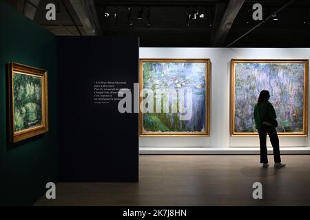 â©PHOTOPQR/LE COURRIER DE L'OUEST/Josselin Clair ; ; 08/06/2022 ; Fontevraud l'Abbaye, 8/06/2022, Präsentation der Ausstellung Metamorphosen dans l'Art de Claude Monet avec plus de trente peintures du peintre, dans le musee d'Art moderne de l'Abbaye de Fontevraud dans le Maine-et-Loire. - Monet-Ausstellung in Fontevraud l'Abbaye Frankreich, 8. Juni 2022 Stockfoto