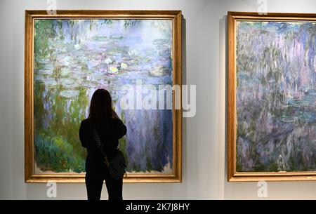 â©PHOTOPQR/LE COURRIER DE L'OUEST/Josselin Clair ; ; 08/06/2022 ; Fontevraud l'Abbaye, 8/06/2022, Präsentation der Ausstellung Metamorphosen dans l'Art de Claude Monet avec plus de trente peintures du peintre, dans le musee d'Art moderne de l'Abbaye de Fontevraud dans le Maine-et-Loire. - Monet-Ausstellung in Fontevraud l'Abbaye Frankreich, 8. Juni 2022 Stockfoto