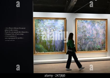 â©PHOTOPQR/LE COURRIER DE L'OUEST/Josselin Clair ; ; 08/06/2022 ; Fontevraud l'Abbaye, 8/06/2022, Präsentation der Ausstellung Metamorphosen dans l'Art de Claude Monet avec plus de trente peintures du peintre, dans le musee d'Art moderne de l'Abbaye de Fontevraud dans le Maine-et-Loire. - Monet-Ausstellung in Fontevraud l'Abbaye Frankreich, 8. Juni 2022 Stockfoto