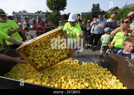 ©PHOTOPQR/VOIX DU Nord/PIERRE ROUANET ; 18/06/2022 ; Le Cateau Cambresis, le 18/06/2022. Course de canards en plastique sur la Selle, au Cateau Cambresis. L’Association Les Ch’tis Coureurs, qui lache 10 000 canards en plastique jaune, souhaite recoulter des fonds pour les personnes atteintes d’un Cancer. FOTO PIERRE ROUANET LA VOIX DU Nord Le Cateau Cambresis, 06/18/2022. Gummiente Rennen auf der Selle, bei Cateau Cambresis. Der Verein Les Ch’tis Coureurs, der 10.000 gelbe Plastikenten abwirft, will Mittel für krebskranke Menschen sammeln Stockfoto