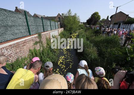 ©PHOTOPQR/VOIX DU Nord/PIERRE ROUANET ; 18/06/2022 ; Le Cateau Cambresis, le 18/06/2022. Course de canards en plastique sur la Selle, au Cateau Cambresis. L’Association Les Ch’tis Coureurs, qui lache 10 000 canards en plastique jaune, souhaite recoulter des fonds pour les personnes atteintes d’un Cancer. FOTO PIERRE ROUANET LA VOIX DU Nord Le Cateau Cambresis, 06/18/2022. Gummiente Rennen auf der Selle, bei Cateau Cambresis. Der Verein Les Ch’tis Coureurs, der 10.000 gelbe Plastikenten abwirft, will Mittel für krebskranke Menschen sammeln Stockfoto