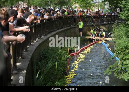 ©PHOTOPQR/VOIX DU Nord/PIERRE ROUANET ; 18/06/2022 ; Le Cateau Cambresis, le 18/06/2022. Course de canards en plastique sur la Selle, au Cateau Cambresis. L’Association Les Ch’tis Coureurs, qui lache 10 000 canards en plastique jaune, souhaite recoulter des fonds pour les personnes atteintes d’un Cancer. FOTO PIERRE ROUANET LA VOIX DU Nord Le Cateau Cambresis, 06/18/2022. Gummiente Rennen auf der Selle, bei Cateau Cambresis. Der Verein Les Ch’tis Coureurs, der 10.000 gelbe Plastikenten abwirft, will Mittel für krebskranke Menschen sammeln Stockfoto