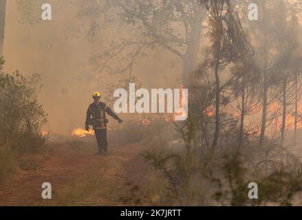 â©PHOTOPQR/Sud OUEST/Claude Petit ; bordeaux ; 18/07/2022 ; Brandstifter feux de forÃªt sud gironde le 18 juillet 2O22 le long de la D15 entre Louchats et Saint Symphorien Feuer in Gironde , südlich von Frankreich Juli 18 , 2022 Stockfoto