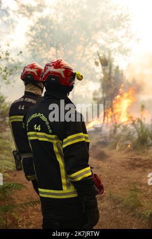 â©PHOTOPQR/Sud OUEST/Claude Petit ; bordeaux ; 18/07/2022 ; Brandstifter feux de forÃªt sud gironde le 18 juillet 2O22 le long de la D15 entre Louchats et Saint Symphorien Feuer in Gironde , südlich von Frankreich Juli 18 , 2022 Stockfoto