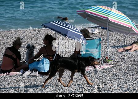 ©SERGE HAOUZI/MAXPPP - Nice en face de l hopital Lenval sur la Promenade des Anglais a Nice dans les Alpes Maritimes, les chiens dispoent d une Plage de 320 m pour se baigner et profiter en toute liberte. Les quatre pattes de tout poil ont le droit de gambader et s ebrouer a l envie apres un bon bain de mer . Elle est symboliquement delimitee par deux sculptures de Totor, un chien bien sur, souriant et farceur, Imagine par l artiste Stephane Bolongaro . Des robinets d Eau douce, des poubelles et des sacs a dejection equipent egalement les lieux. Nice le 07 Aout 2022 (Foto Serge Haouzi) Nizza Stockfoto