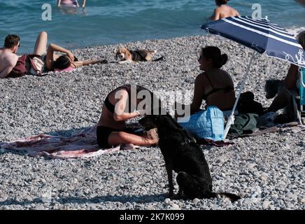 ©SERGE HAOUZI/MAXPPP - Nice en face de l hopital Lenval sur la Promenade des Anglais a Nice dans les Alpes Maritimes, les chiens dispoent d une Plage de 320 m pour se baigner et profiter en toute liberte. Les quatre pattes de tout poil ont le droit de gambader et s ebrouer a l envie apres un bon bain de mer . Elle est symboliquement delimitee par deux sculptures de Totor, un chien bien sur, souriant et farceur, Imagine par l artiste Stephane Bolongaro . Des robinets d Eau douce, des poubelles et des sacs a dejection equipent egalement les lieux. Nice le 07 Aout 2022 (Foto Serge Haouzi) Nizza Stockfoto