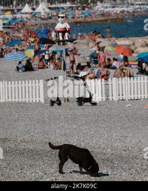 ©SERGE HAOUZI/MAXPPP - Nice en face de l hopital Lenval sur la Promenade des Anglais a Nice dans les Alpes Maritimes, les chiens dispoent d une Plage de 320 m pour se baigner et profiter en toute liberte. Les quatre pattes de tout poil ont le droit de gambader et s ebrouer a l envie apres un bon bain de mer . Elle est symboliquement delimitee par deux sculptures de Totor, un chien bien sur, souriant et farceur, Imagine par l artiste Stephane Bolongaro . Des robinets d Eau douce, des poubelles et des sacs a dejection equipent egalement les lieux. Nice le 07 Aout 2022 (Foto Serge Haouzi) Nizza Stockfoto