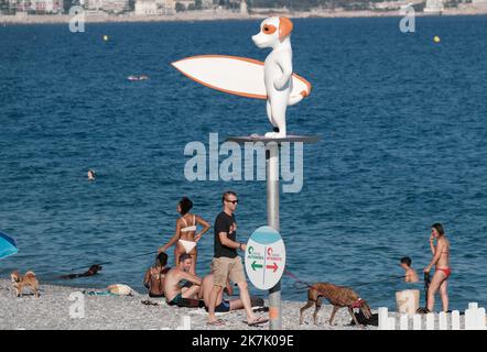 ©SERGE HAOUZI/MAXPPP - Nice en face de l hopital Lenval sur la Promenade des Anglais a Nice dans les Alpes Maritimes, les chiens dispoent d une Plage de 320 m pour se baigner et profiter en toute liberte. Les quatre pattes de tout poil ont le droit de gambader et s ebrouer a l envie apres un bon bain de mer . Elle est symboliquement delimitee par deux sculptures de Totor, un chien bien sur, souriant et farceur, Imagine par l artiste Stephane Bolongaro . Des robinets d Eau douce, des poubelles et des sacs a dejection equipent egalement les lieux. Nice le 07 Aout 2022 (Foto Serge Haouzi) Nizza Stockfoto