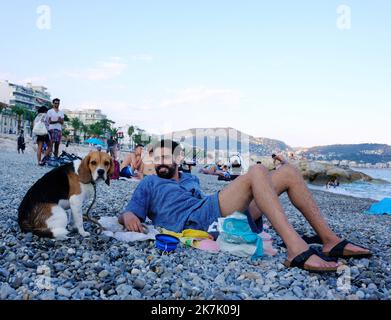 ©SERGE HAOUZI/MAXPPP - Nice en face de l hopital Lenval sur la Promenade des Anglais a Nice dans les Alpes Maritimes, les chiens dispoent d une Plage de 320 m pour se baigner et profiter en toute liberte. Les quatre pattes de tout poil ont le droit de gambader et s ebrouer a l envie apres un bon bain de mer . Elle est symboliquement delimitee par deux sculptures de Totor, un chien bien sur, souriant et farceur, Imagine par l artiste Stephane Bolongaro . Des robinets d Eau douce, des poubelles et des sacs a dejection equipent egalement les lieux. Nice le 07 Aout 2022 (Foto Serge Haouzi) Nizza Stockfoto