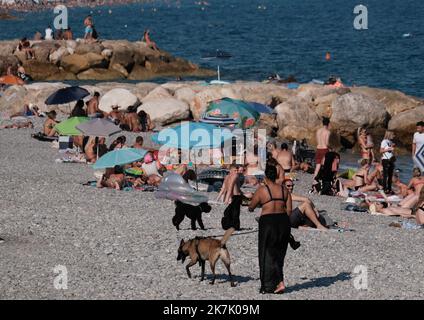 ©SERGE HAOUZI/MAXPPP - Nice en face de l hopital Lenval sur la Promenade des Anglais a Nice dans les Alpes Maritimes, les chiens dispoent d une Plage de 320 m pour se baigner et profiter en toute liberte. Les quatre pattes de tout poil ont le droit de gambader et s ebrouer a l envie apres un bon bain de mer . Elle est symboliquement delimitee par deux sculptures de Totor, un chien bien sur, souriant et farceur, Imagine par l artiste Stephane Bolongaro . Des robinets d Eau douce, des poubelles et des sacs a dejection equipent egalement les lieux. Nice le 07 Aout 2022 (Foto Serge Haouzi) Nizza Stockfoto