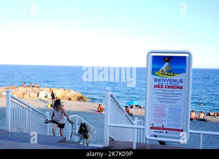 ©SERGE HAOUZI/MAXPPP - Nice en face de l hopital Lenval sur la Promenade des Anglais a Nice dans les Alpes Maritimes, les chiens dispoent d une Plage de 320 m pour se baigner et profiter en toute liberte. Les quatre pattes de tout poil ont le droit de gambader et s ebrouer a l envie apres un bon bain de mer . Elle est symboliquement delimitee par deux sculptures de Totor, un chien bien sur, souriant et farceur, Imagine par l artiste Stephane Bolongaro . Des robinets d Eau douce, des poubelles et des sacs a dejection equipent egalement les lieux. Nice le 07 Aout 2022 (Foto Serge Haouzi) Nizza Stockfoto