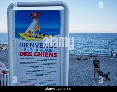 ©SERGE HAOUZI/MAXPPP - Nice en face de l hopital Lenval sur la Promenade des Anglais a Nice dans les Alpes Maritimes, les chiens dispoent d une Plage de 320 m pour se baigner et profiter en toute liberte. Les quatre pattes de tout poil ont le droit de gambader et s ebrouer a l envie apres un bon bain de mer . Elle est symboliquement delimitee par deux sculptures de Totor, un chien bien sur, souriant et farceur, Imagine par l artiste Stephane Bolongaro . Des robinets d Eau douce, des poubelles et des sacs a dejection equipent egalement les lieux. Nice le 07 Aout 2022 (Foto Serge Haouzi) Nizza Stockfoto